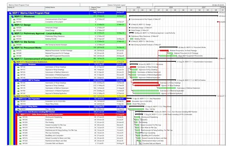 Professional project management